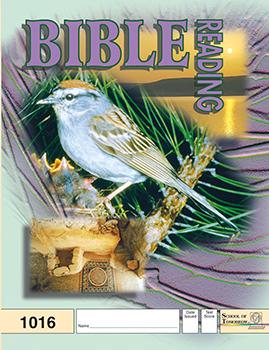 2nd Grade Bible Reading Pace 1016 by Accelerated Christian Education ACE 4 of 12 Curriculum Express