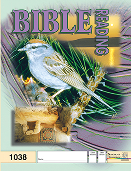 4th Grade Bible Reading Pace 1038 by Accelerated Christian Education ACE 2 of 12 Curriculum Express